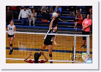 Freshman on 10-12 * (574 Slides)